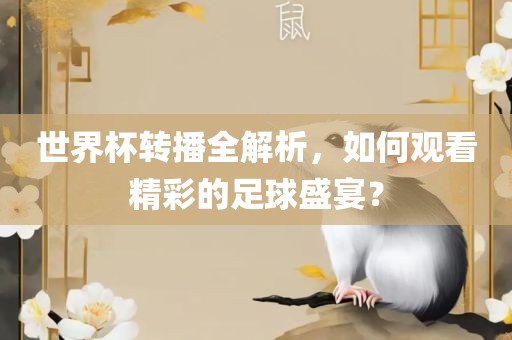 世界杯转播全解析，如何观看精彩的足球盛宴？