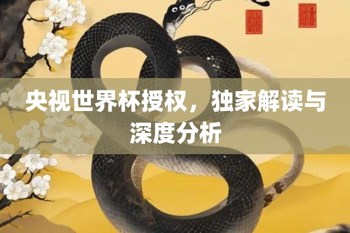 央视世界杯授权，独家解读与深度分析漯河市盈旭机械设备有限公司
