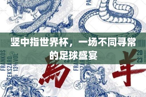竖中指世漯河市盈旭机械设备有限公司界杯，一场不同寻常的足球盛宴