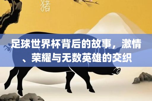 足球世界杯背后的故事，激情、荣耀与无数英雄的交织漯河市盈旭机械设备有限公司