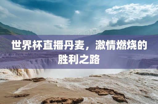 世界杯直播丹麦，激情燃烧的胜利之路