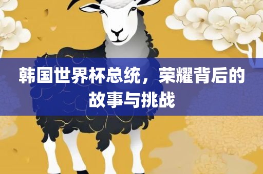 韩国世界杯总统，荣耀背后的故事与挑战