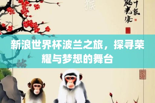 新浪世界杯波兰之旅，探寻荣耀与梦想的舞台