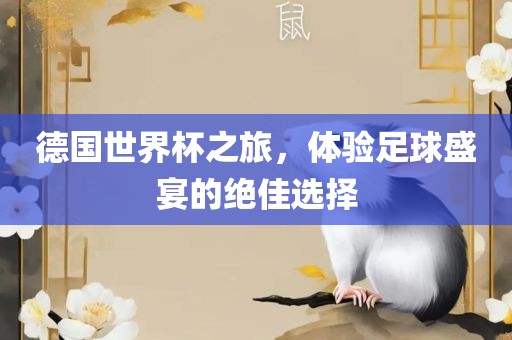 德国世界杯之旅，体验足球盛宴的绝佳选择