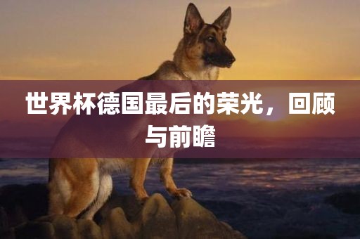 世界杯德国最后的荣光，回顾与前瞻