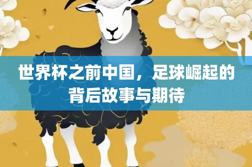 世界杯之前中国，足球崛起的背后故事与期待