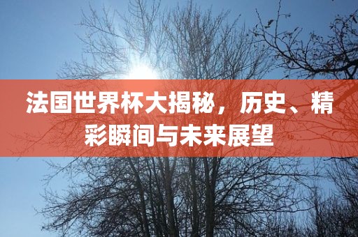 法国世界杯大揭秘，历史、精彩瞬间与未来展望