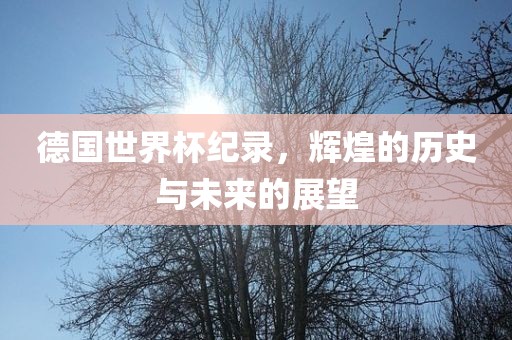 德国世界杯纪录，辉煌的历史与未来的展望