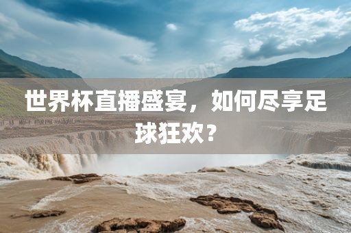 世界杯直播盛宴，如何尽享足球狂欢？