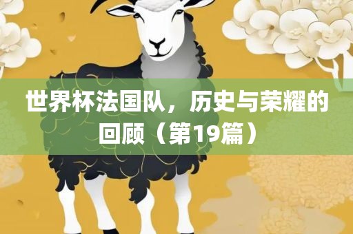 世界杯法国队，历史与荣耀的回顾（第19篇）