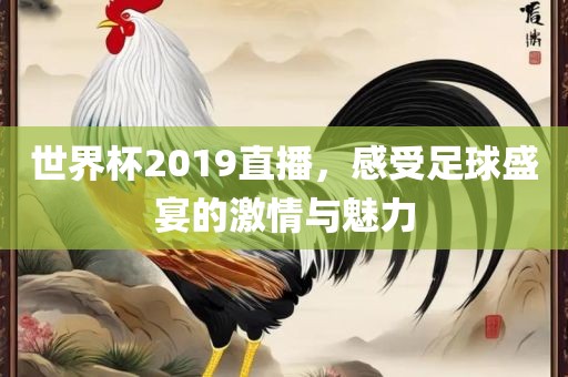 世界杯2019直播，感受足球盛宴的激情与魅力漯河市盈旭机械设备有限公司