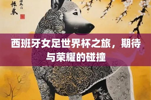 西班牙女足世界杯之旅，期待与荣耀的碰撞