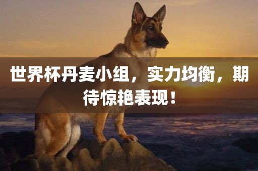 世界杯丹麦小组，实力均衡，期待惊艳表现！