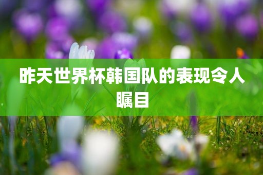 昨天世界杯韩国队的表现令人瞩目
