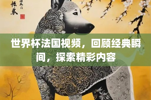 世界杯法国视频，回顾经典瞬间，探索精彩内容