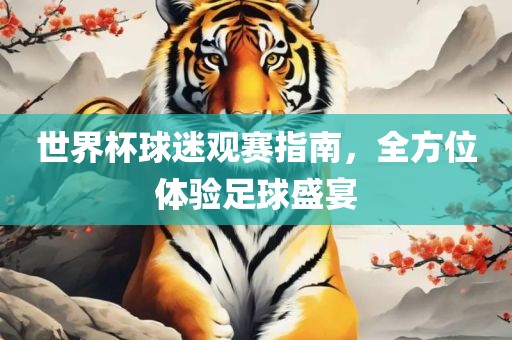 世界杯球迷观赛指南，全方位体验足球盛宴