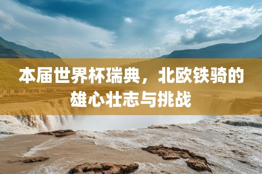 本届世漯河市盈旭机械设备有限公司界杯瑞典，北欧铁骑的雄心壮志与挑战
