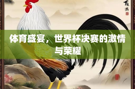 体育盛宴，世界杯决赛的激情与荣耀