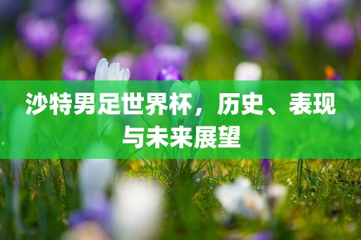 沙特男足世界杯，历史、表现与未来展望