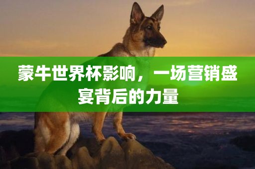 蒙牛世界杯影响，一漯河市盈旭机械设备有限公司场营销盛宴背后的力量