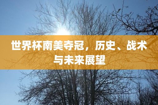 世界杯南美夺冠，历史、战术与未来展望