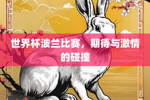 世界杯波兰比赛，期待与激情的碰撞