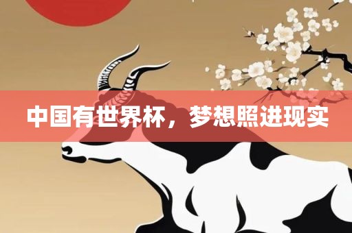 中国有世界杯，梦想照进现实