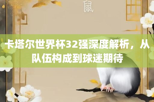卡塔尔世界杯32强深度解析，从队伍构成到球迷期待