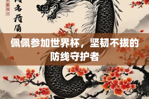 佩佩参加世界杯，坚韧不拔的防线守护者