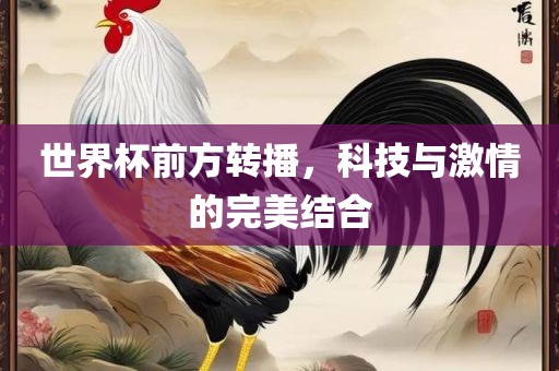 世界杯前方转播，科技与激情的完美结合