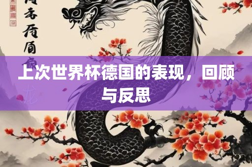 上次世界漯河市盈旭机械设备有限公司杯德国的表现，回顾与反思