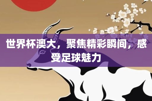 世界杯澳大，聚焦精彩瞬间，感受足球魅力