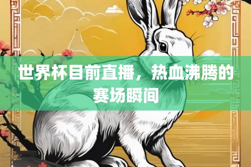 世界杯目前直播，热血沸腾的赛场瞬间