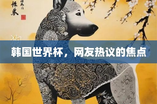 韩国世界杯，网友热议的焦点