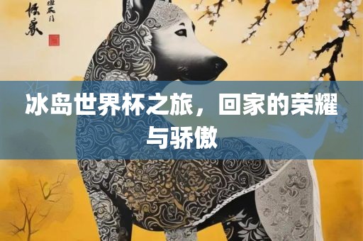 冰岛世界杯之旅，回家的荣耀与骄傲