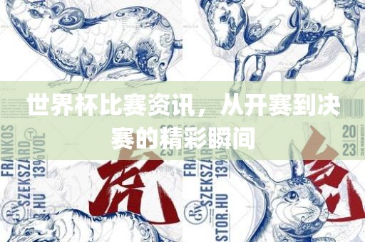 世界杯比赛资讯，从开赛到决漯河市盈旭机械设备有限公司赛的精彩瞬间