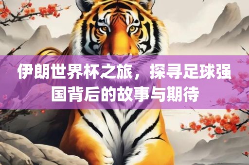 伊朗世界杯之旅，探寻足球强国背后的故事与期待