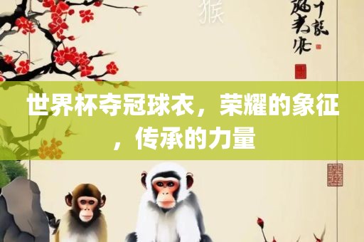 世界杯夺冠球衣，荣耀的象征，传承的力量