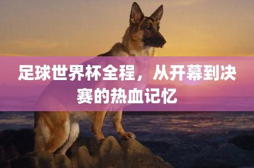 足球世界杯全程，从开幕到决赛的热血记忆