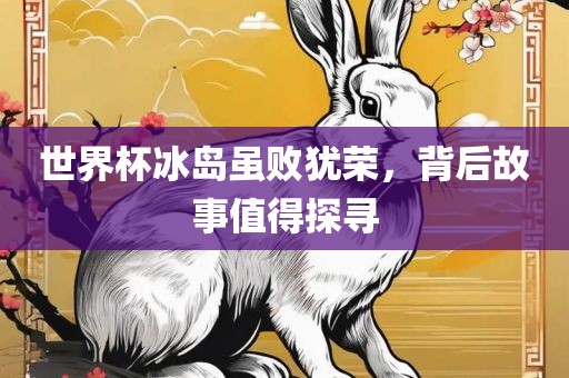 世界杯冰岛虽败犹荣，背后故事值得探寻