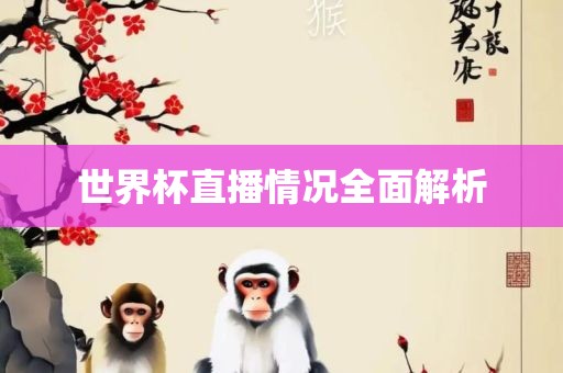 世界杯直播情况全面解析