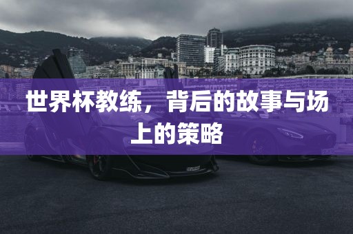 世界杯教练，背后的故事与场上的策略