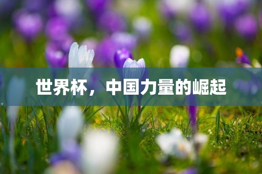 世界杯，中国力量的崛起漯河市盈旭机械设备有限公司