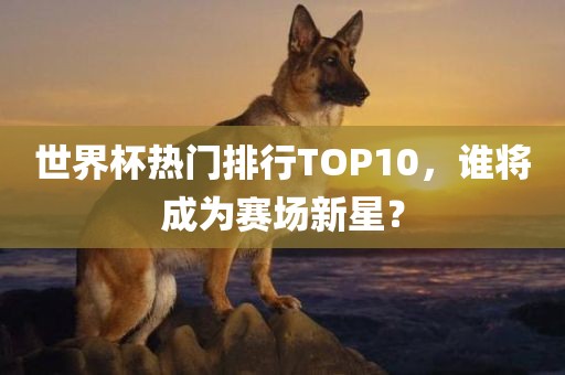 世界杯热门排行TOP10，谁将成为赛场新星？