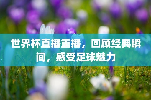 世界杯直播重播，回顾经典瞬间，感受足球魅力