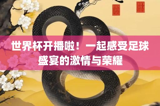 世界杯开播啦！一起感受足球盛宴的激情与荣耀