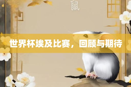 世界杯埃及比赛，回顾与期待