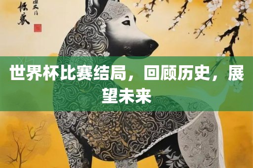 世界杯比赛结局，回顾历史，展望未来