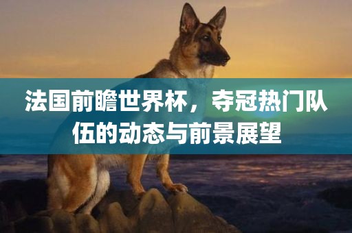 法国前瞻世界杯，夺冠热门队伍的动态与前景展望