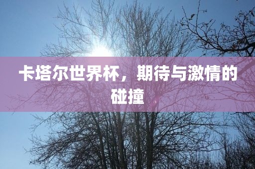 卡塔尔世界杯，期待与激情的碰撞